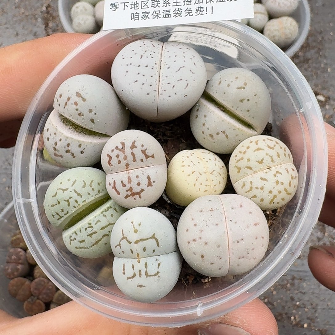 235满18包邮保温袋联系客服