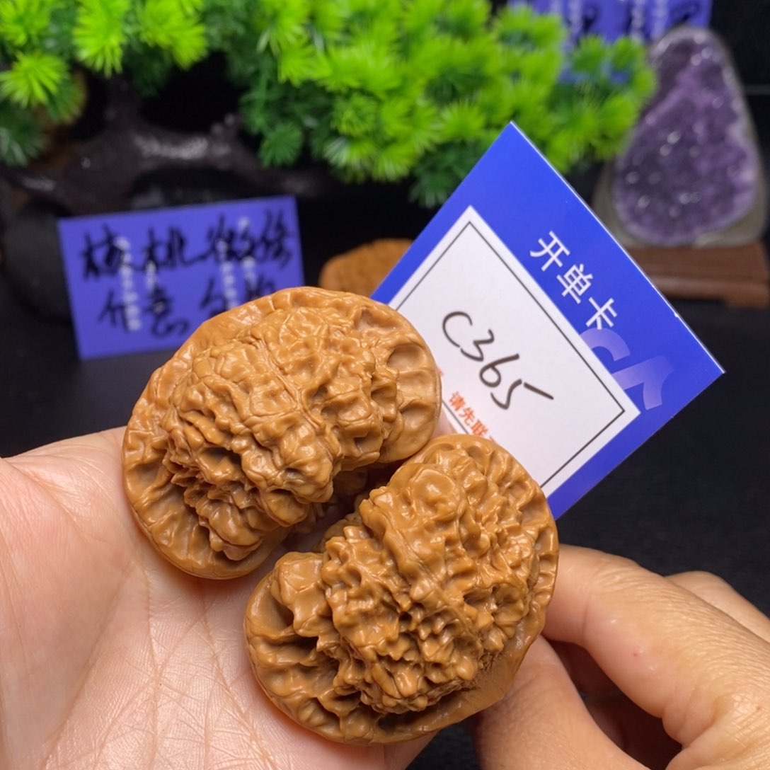 文玩核桃把件52官帽c365