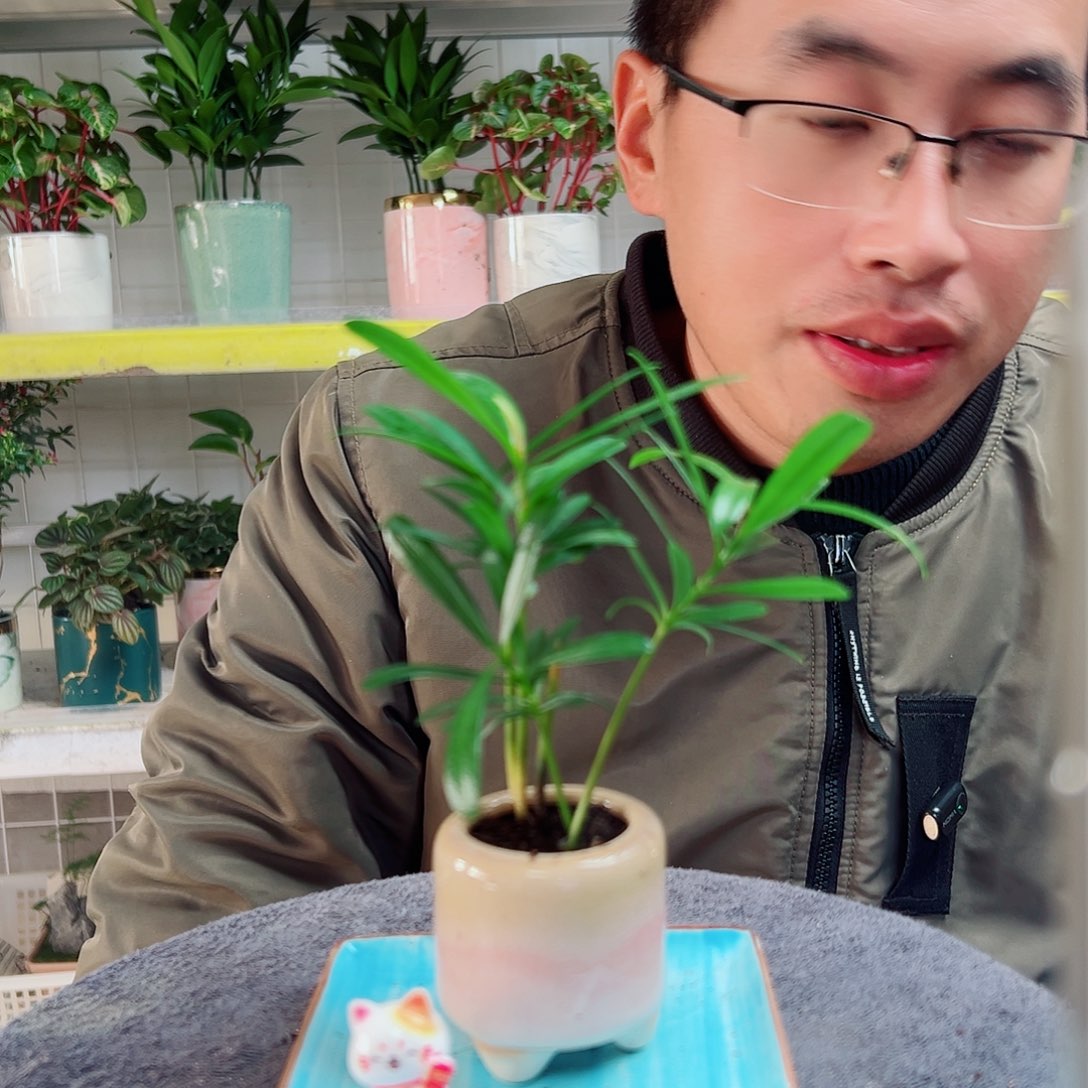 每***蔬无花朵37                   