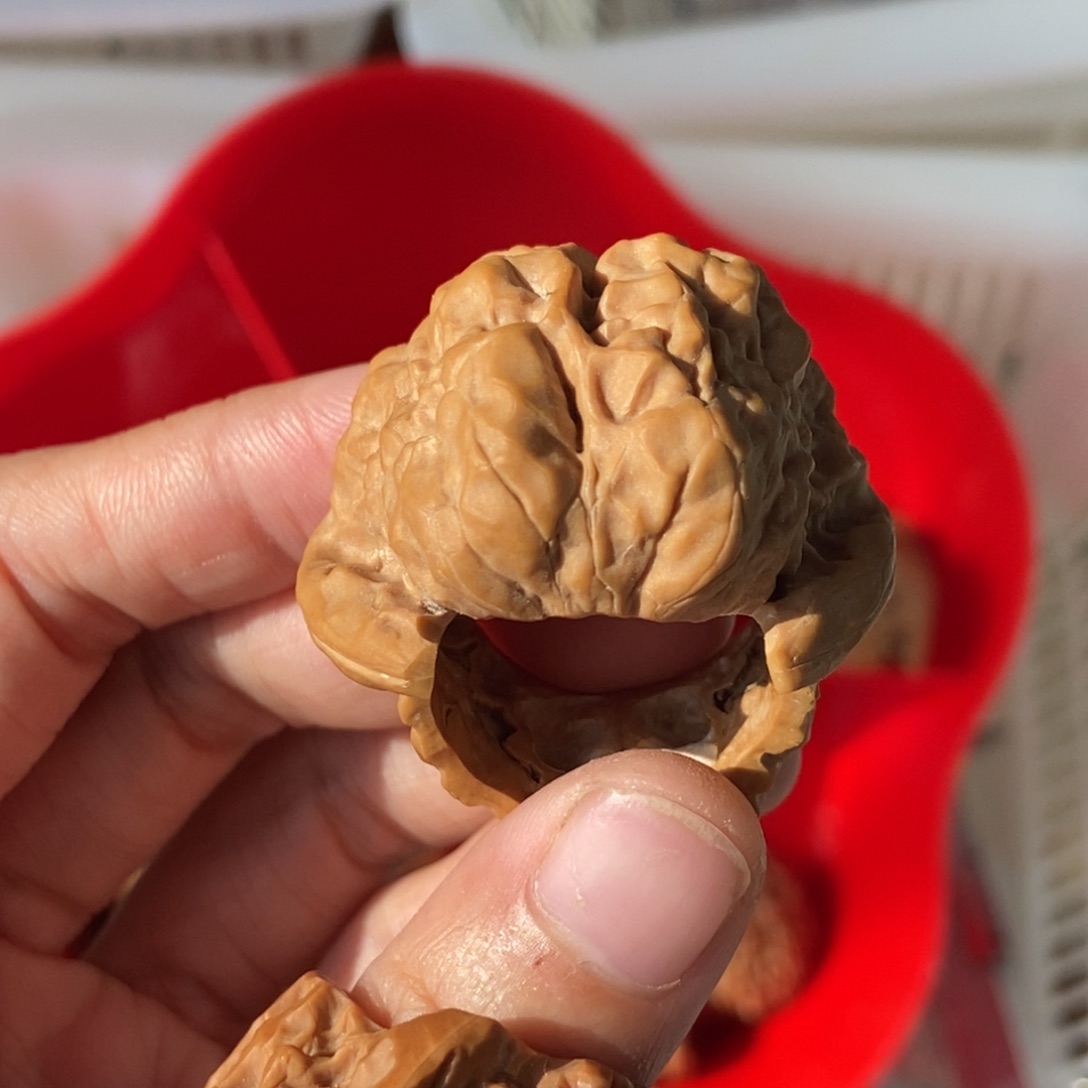 桃核吊坠金蟾戒指素圈