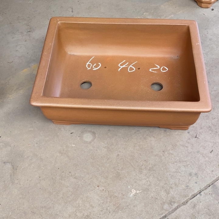 花盆紫砂只顾看手机