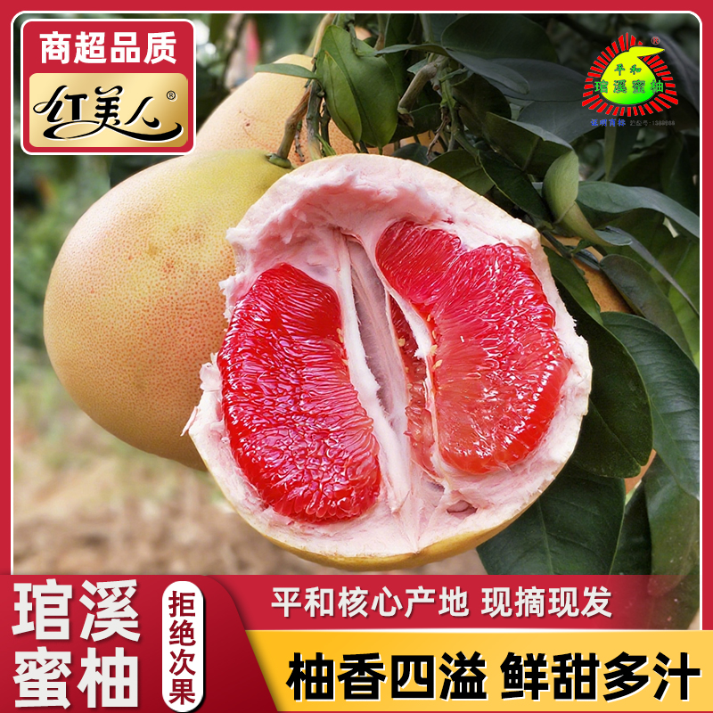 【琯溪蜜柚】平和红蜜柚新鲜采摘柚子香甜爽口多汁当季孕妇水果上