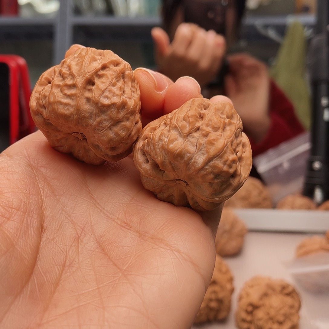 @**行蛙类科及其主要动物