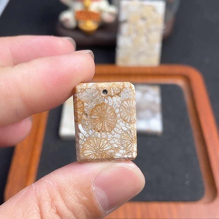 硅化珊瑚（珊瑚玉）吊坠(不含链)未镶嵌