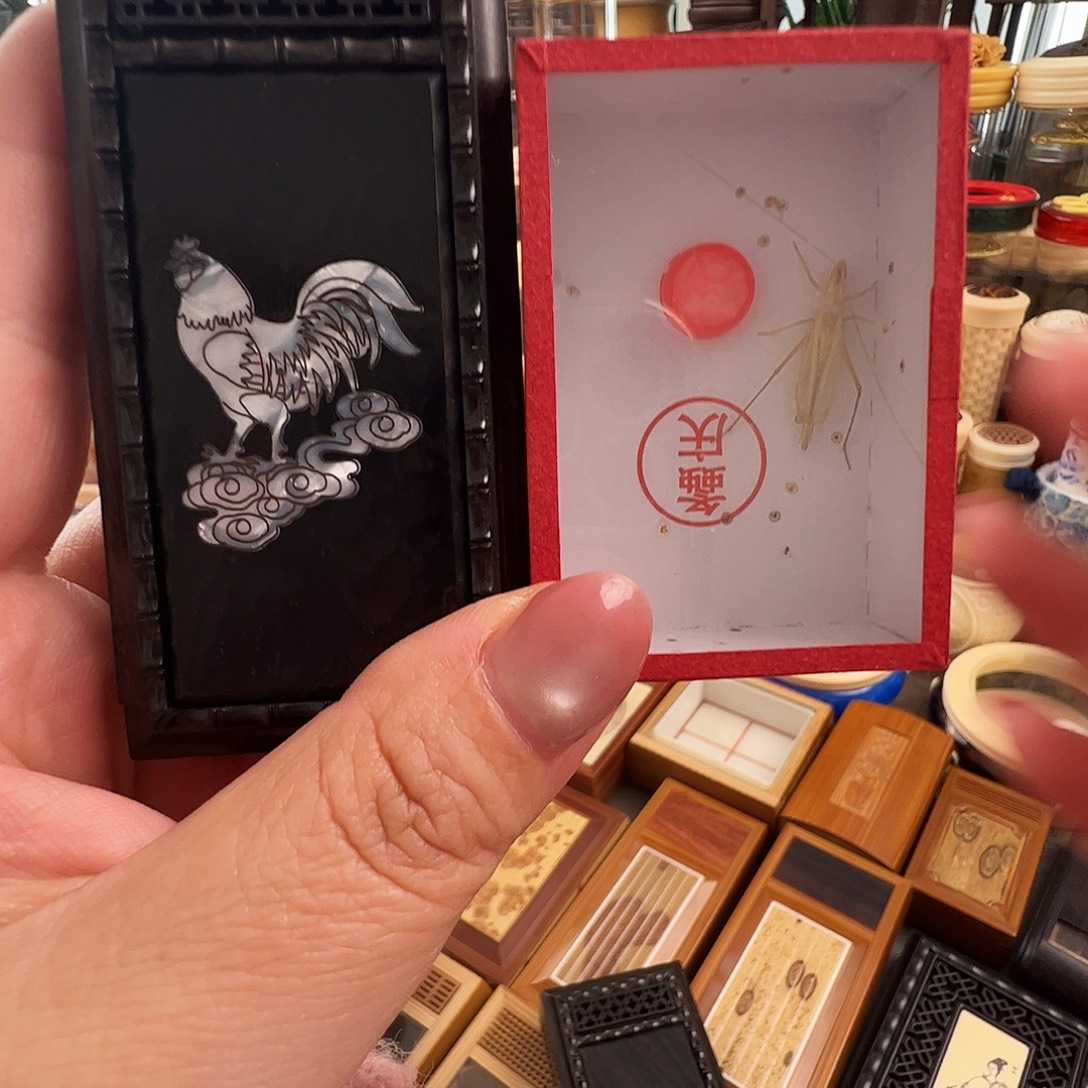 贝***尔哈哈哈盒子➕柬埔寨竹蛉