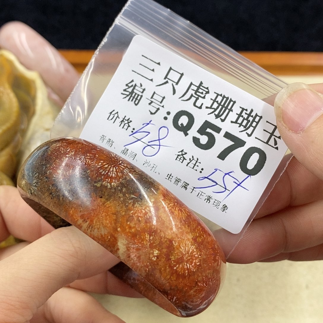 硅化珊瑚（珊瑚玉）1未镶嵌庄***水