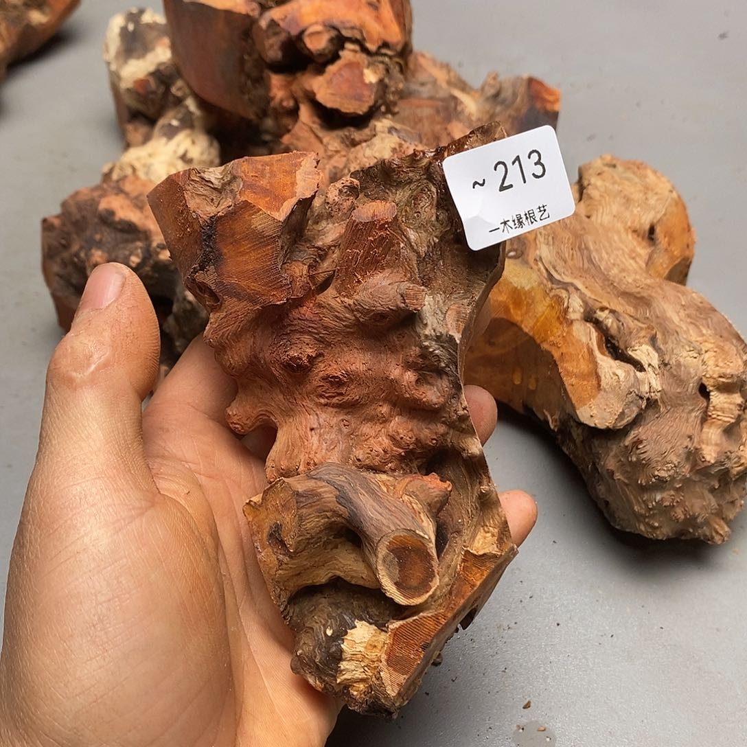 大***界无花朵        213