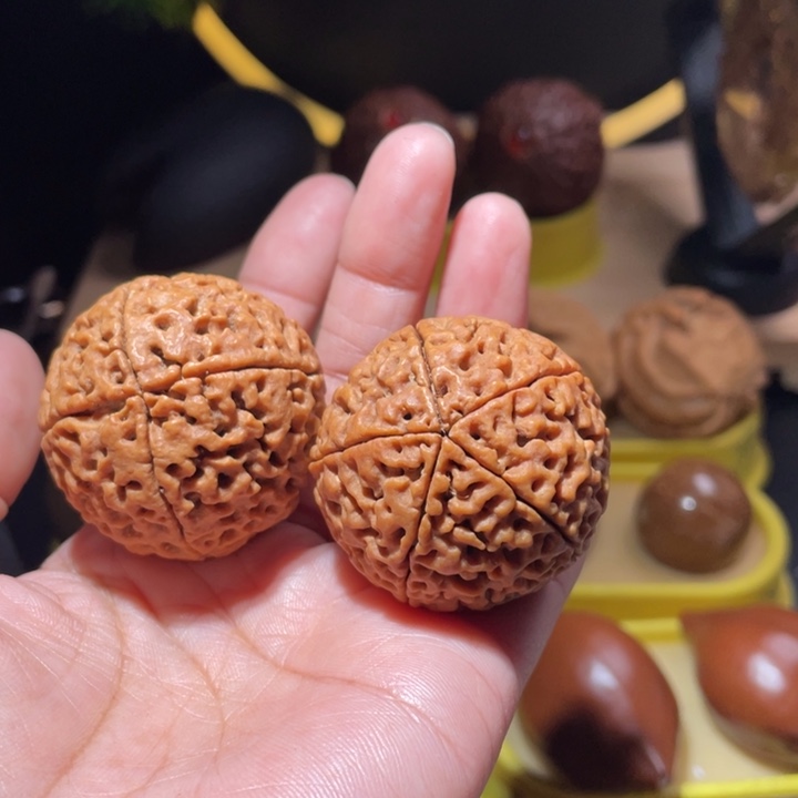 桃核把件用****9四五瓣金刚菩提