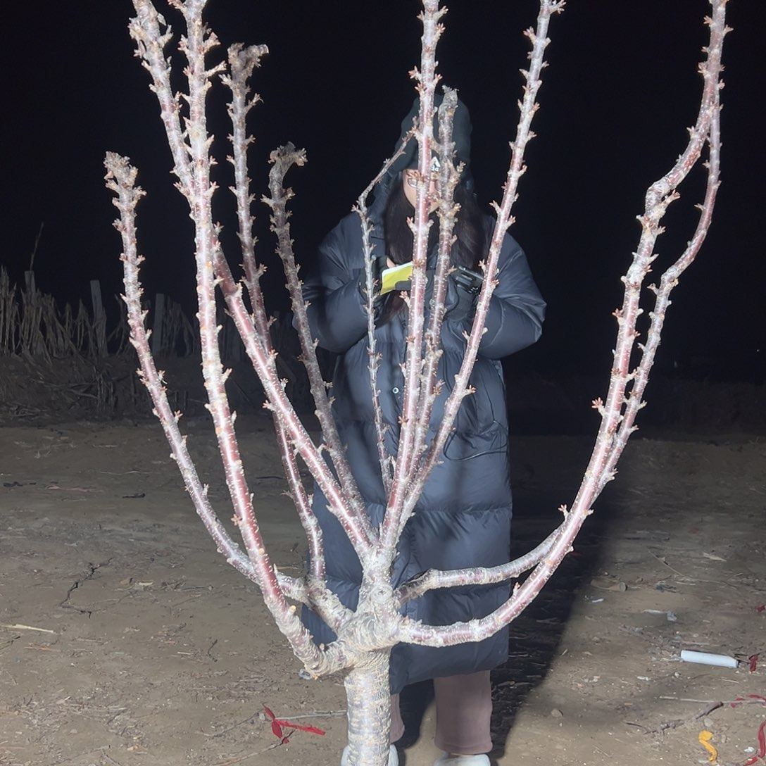 世***日安徽直播间专拍直播间专拍