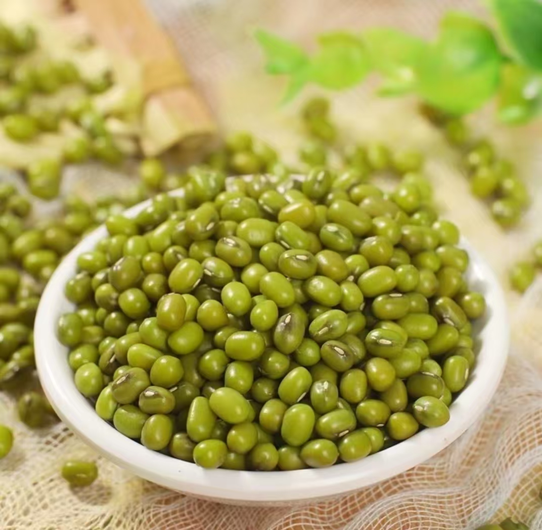 （朱书记助农）绿豆农户自种绿豆新鲜易煮