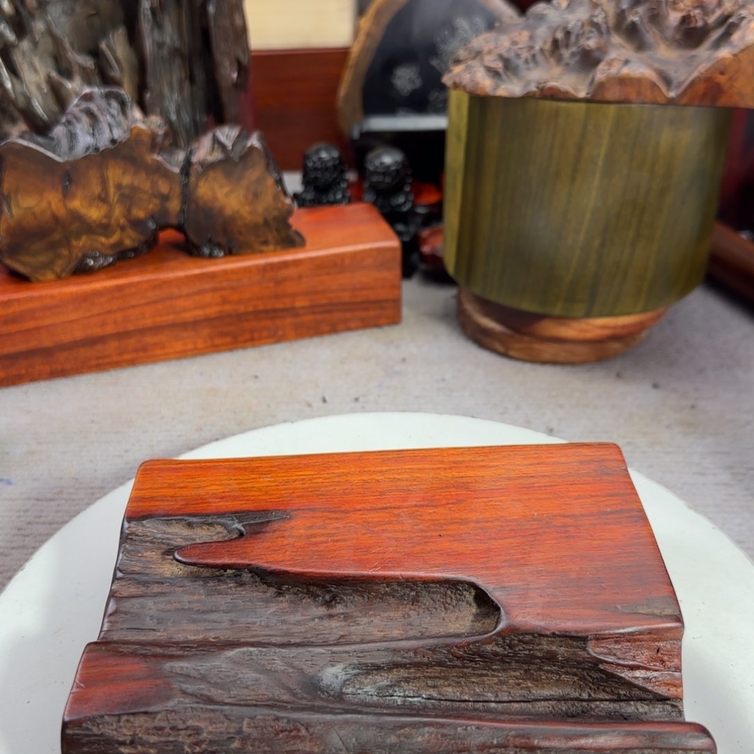 大果紫檀（缅甸花梨）秋*⋯