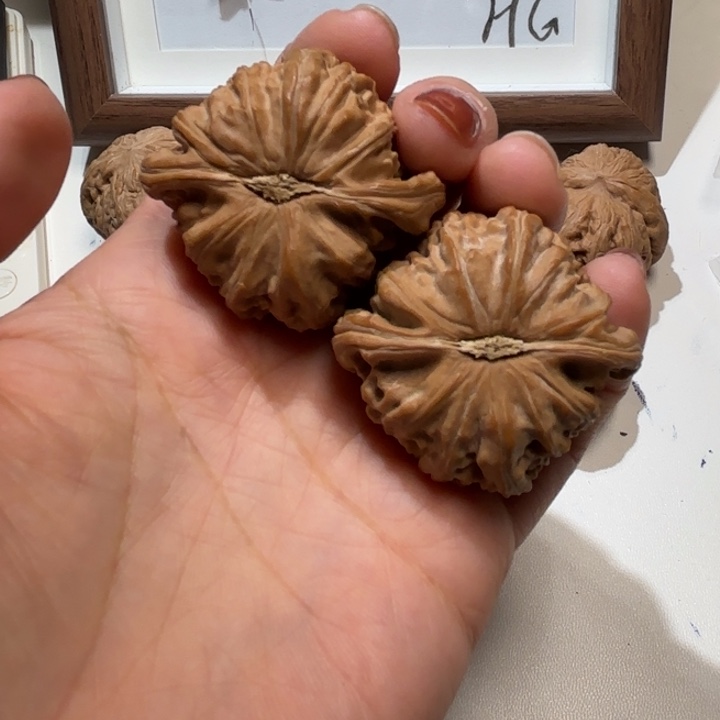 J***a文玩核桃把件白狮子