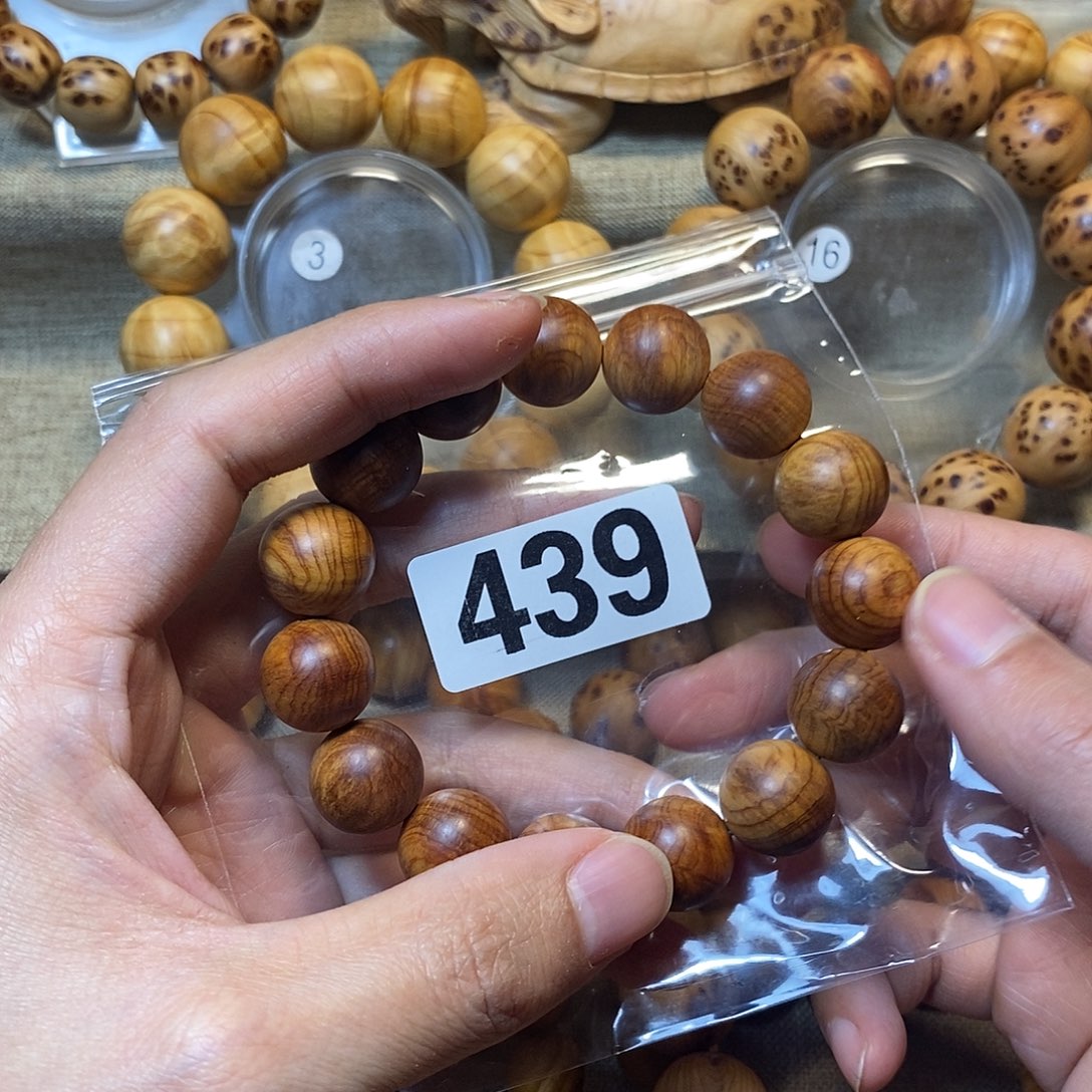 柏木（崖柏）东**恒崖柏1.5-439