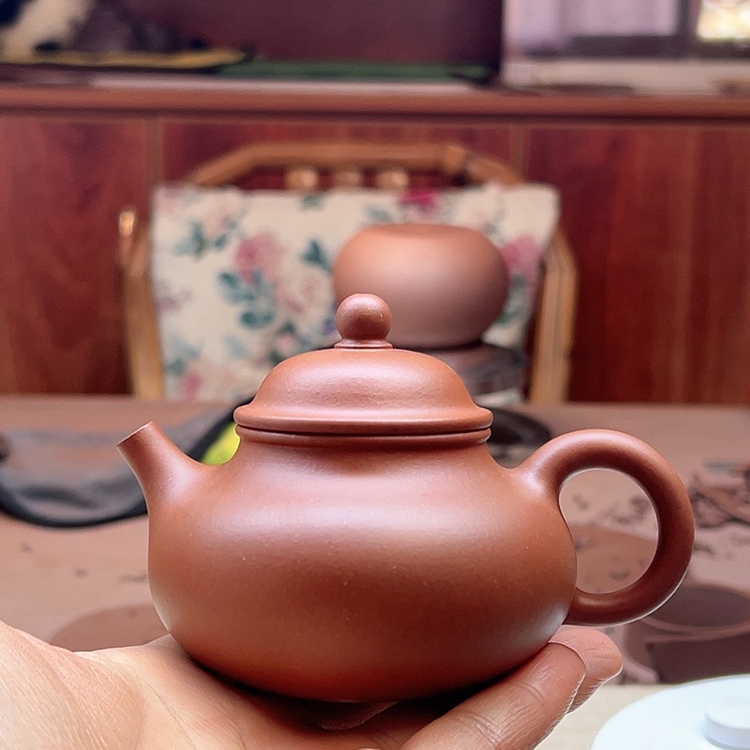 紫砂茶壶半手红泥容天内推七孔