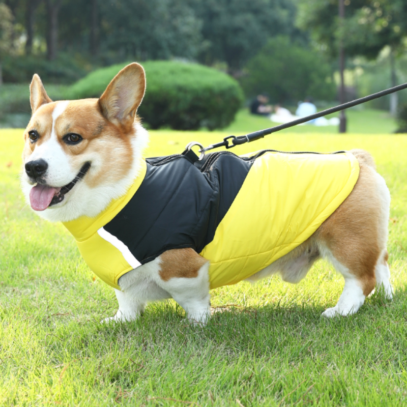 秋冬款狗狗保暖棉服冬季狗狗加厚棉衣柯基中大型犬可牵引狗狗衣服