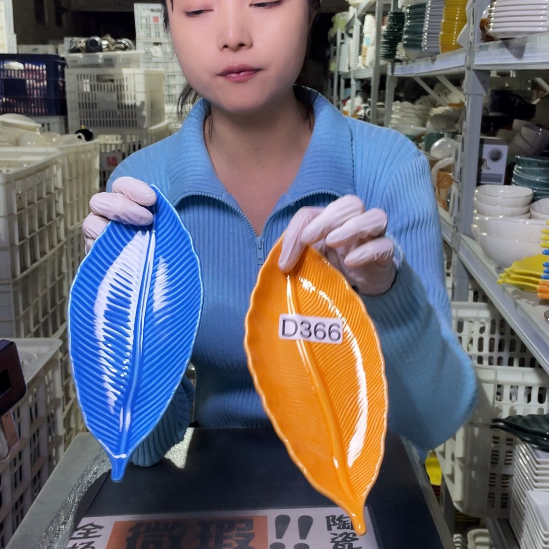 瓷片366                2个色