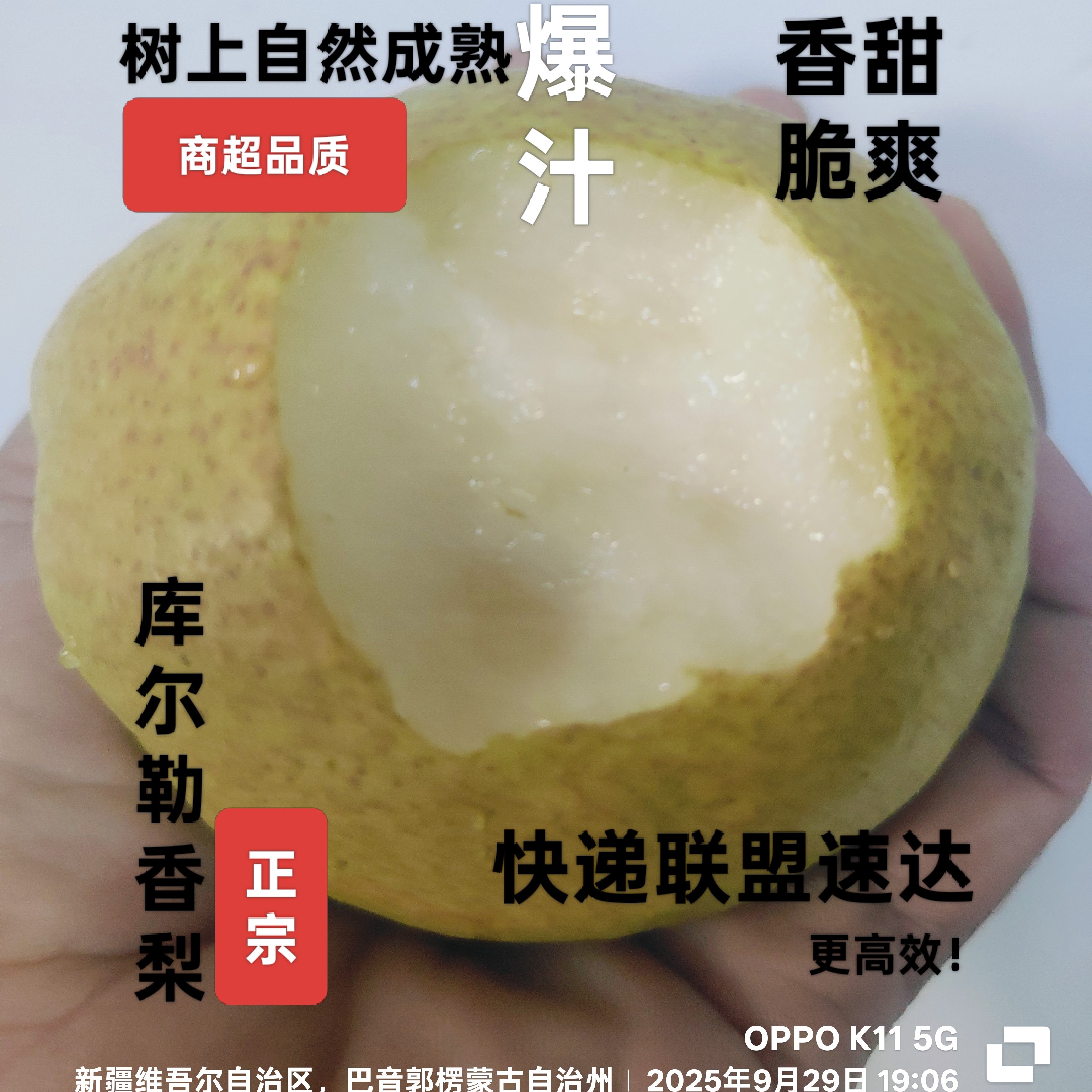 6-14斤全国包邮新疆库尔勒香梨沙依东乡当季新鲜水果皮薄脆甜多汁