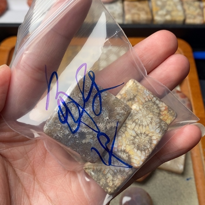 硅化玉颈饰足金镶嵌每***着