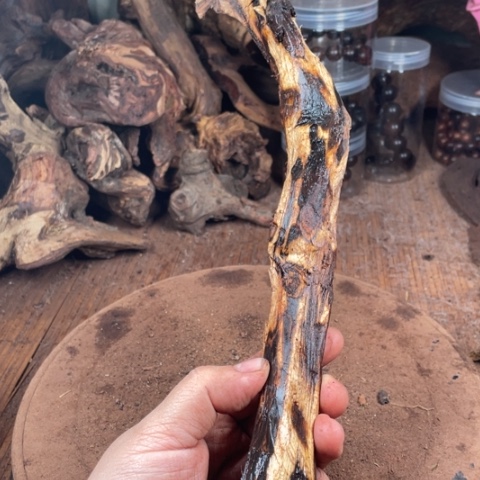 黄花梨/降香黄檀许****伟