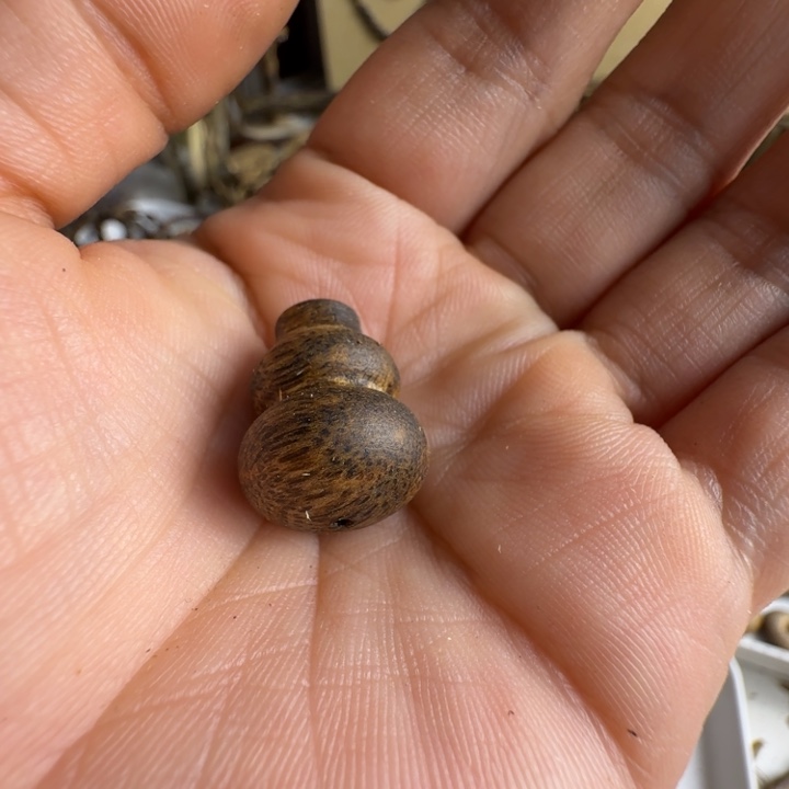 九***雪沉香沉香碎屑奇楠沉香葫芦1.6克重一个