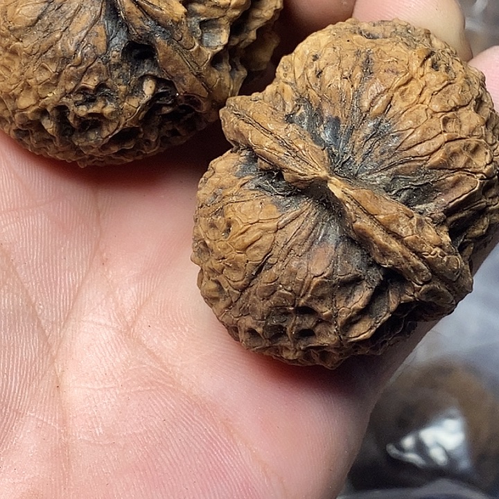 把件文玩核桃云南铁核桃B96