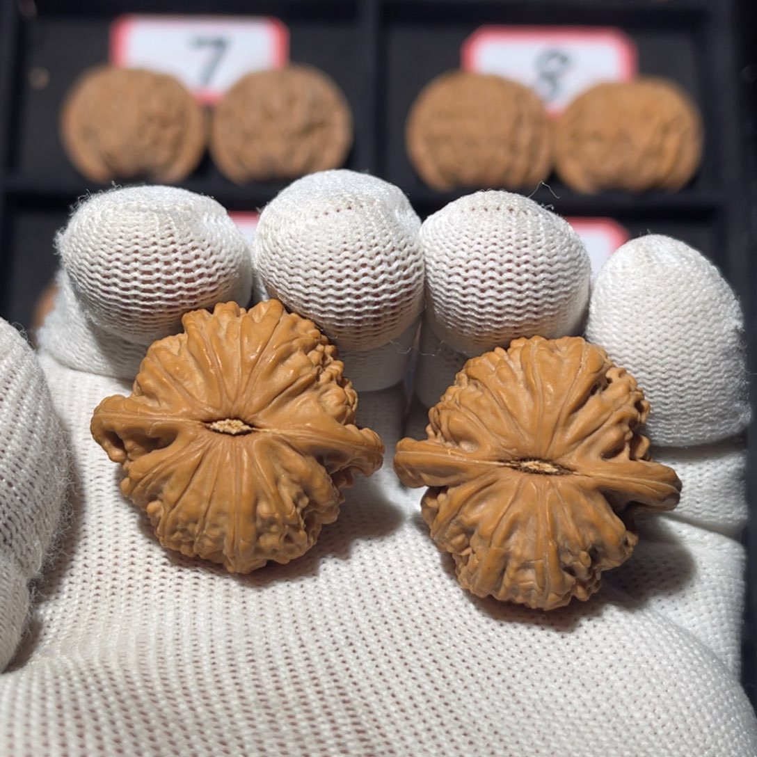 文玩核桃吊坠05秦皇岛山地果全品球白