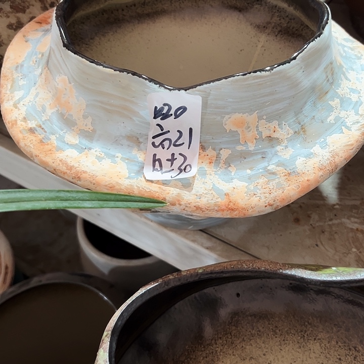 景德镇精品花盆栽适合盆栽适合盆