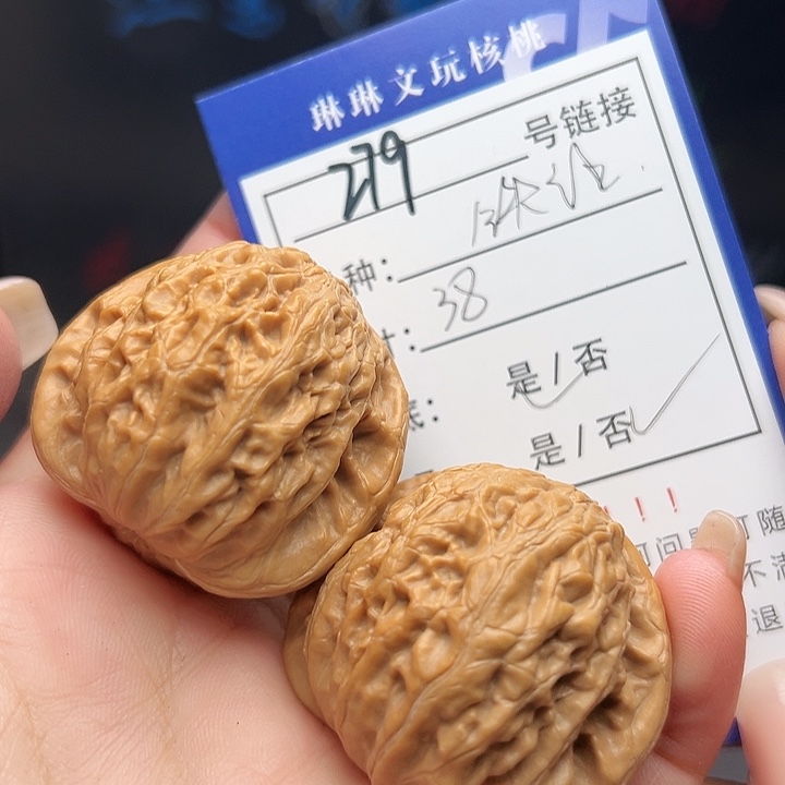 文玩核桃吊坠核桃树279