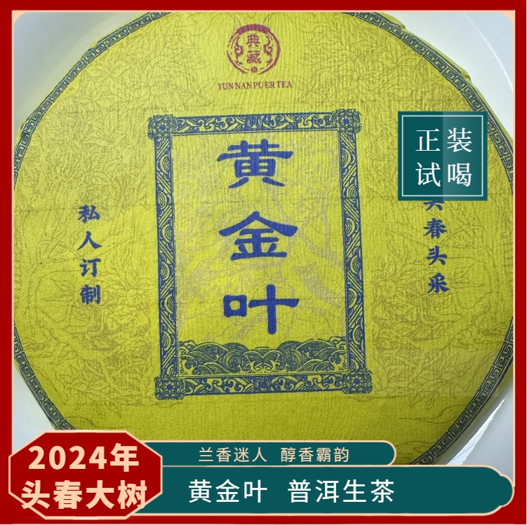 【黄金叶】云南普洱茶生茶 24年头春 入口绵柔 回甘悠长