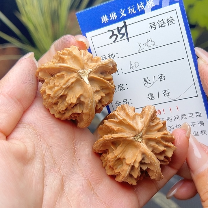 文玩核桃吊坠核桃和351