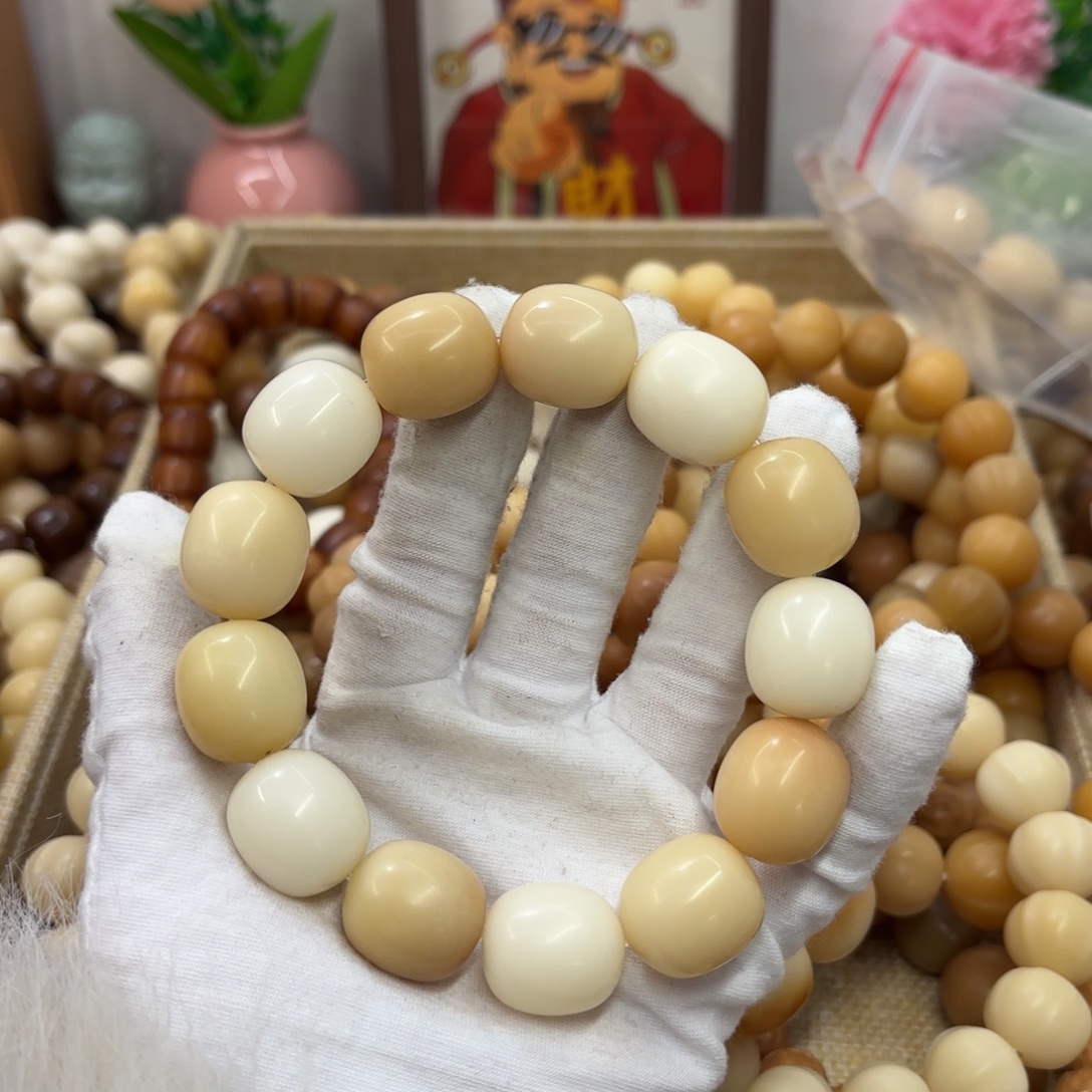 吊坠菩提根/象牙果20干磨瑕疵落地果枣180