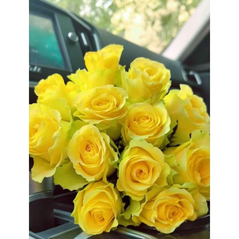 【浪漫沙滩玫瑰】--云南基地鲜花--收到货第一时间先醒花