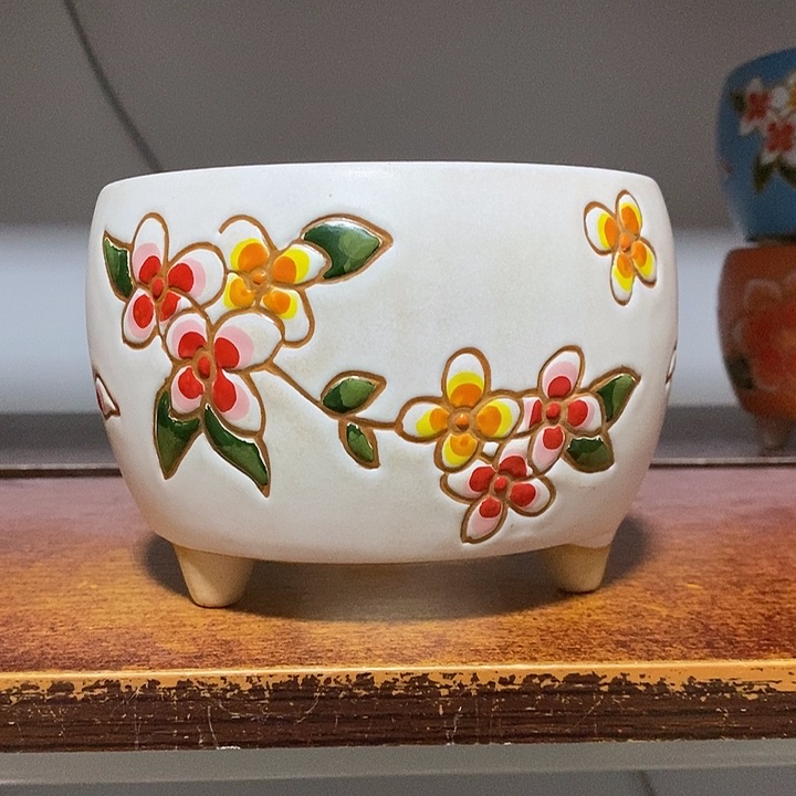 韩式多肉植物花盆