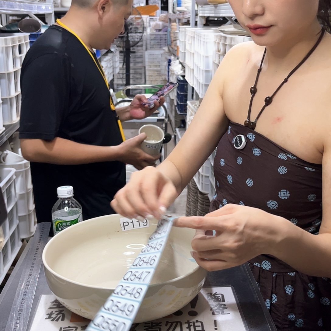 瓷片543                   1个