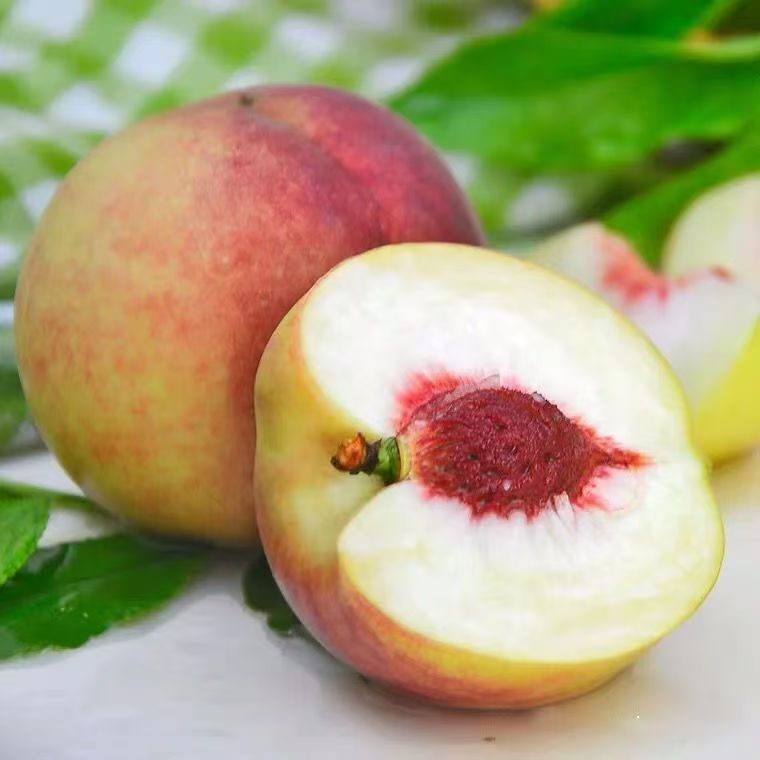 青州蜜桃桃子非水密桃果园直发新鲜水果5斤3斤脆甜冬桃