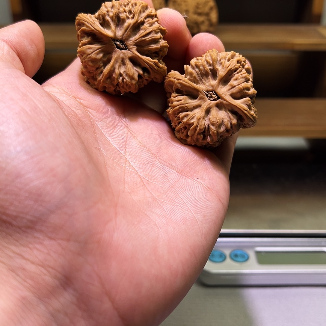 嘛***吽吊坠文玩核桃新宇南将石40精品