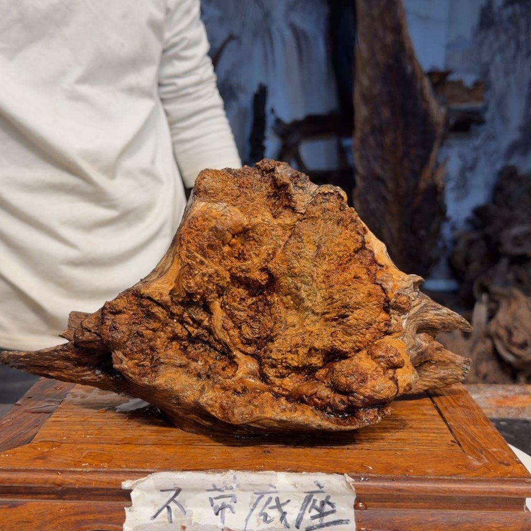 一***林木三丰琥珀木 天然摆件11