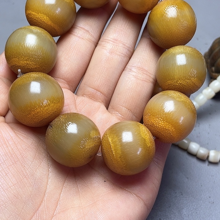 大果紫檀（缅甸花梨）