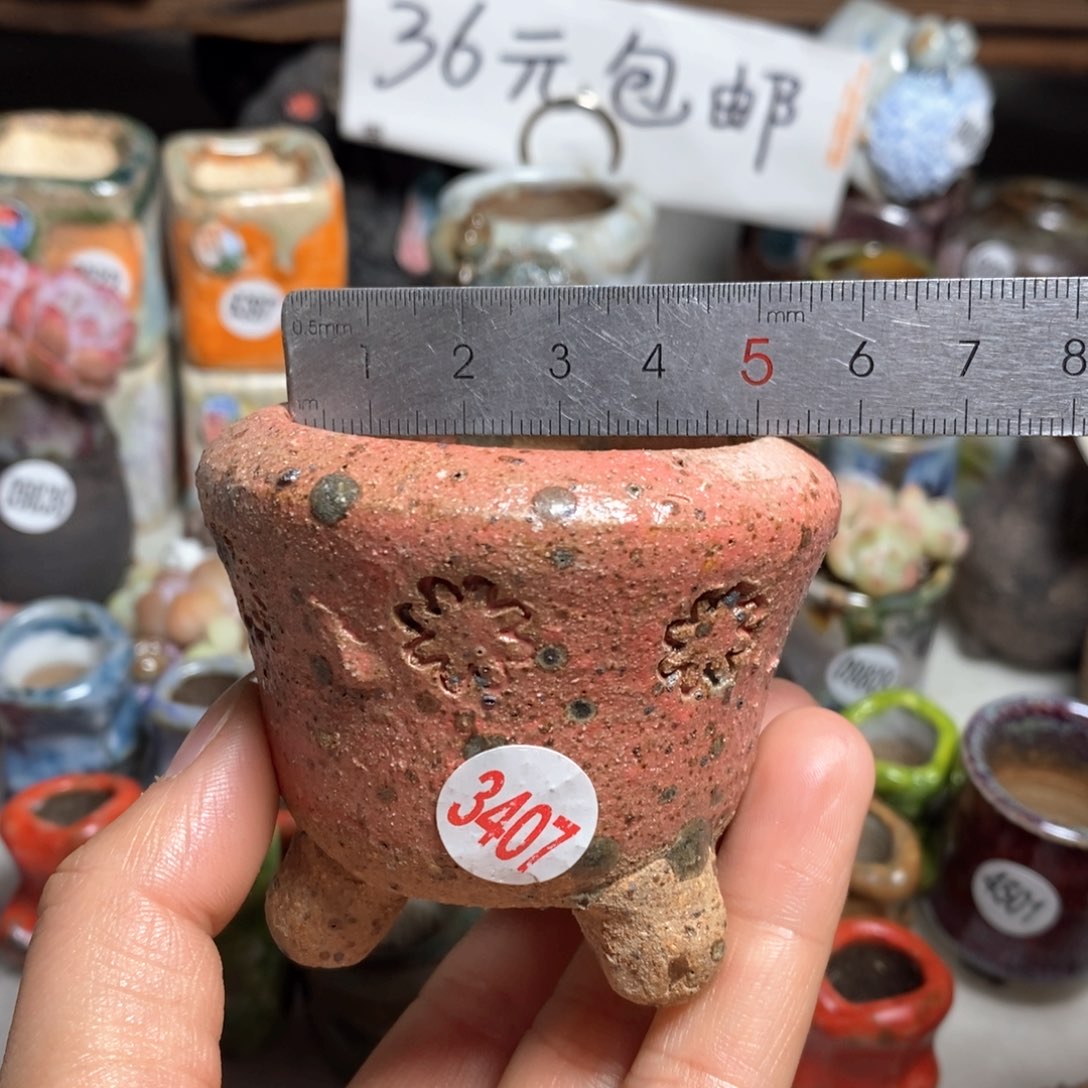 花盆拍3送个9·9的盆，拍5送同款