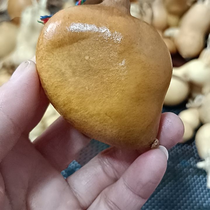 ?***狗葫芦葫芦葫芦葫芦葫芦葫芦葫芦