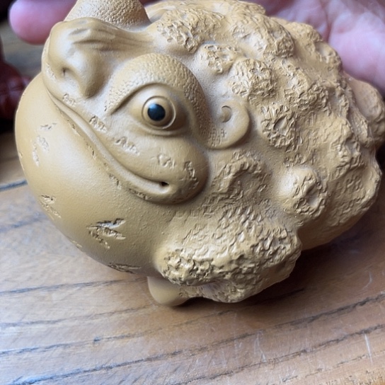 毅***龍紫砂茶宠紫砂金蟾