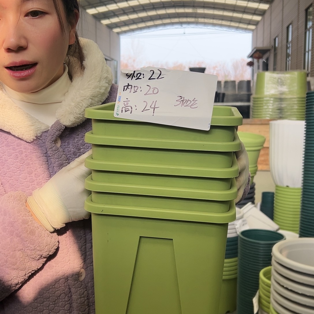 方盆F22果绿5个无托