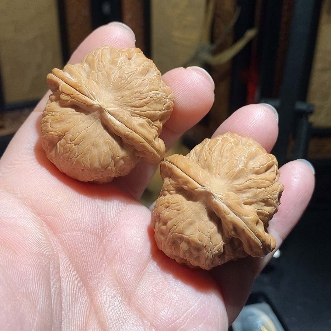 文玩核桃把件43元宝全品