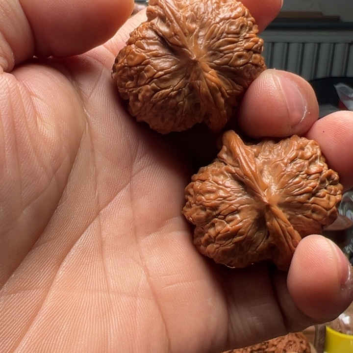 文玩核桃把件血麒麟狮子头