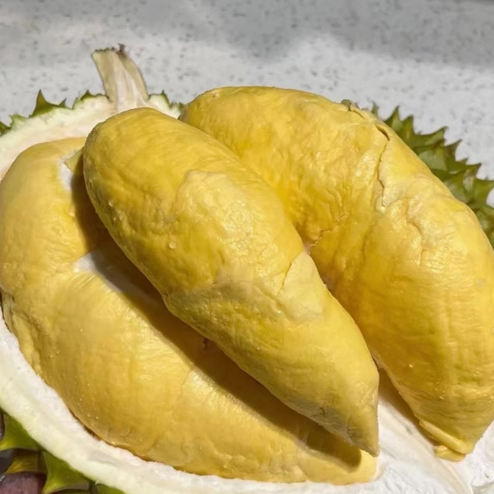 鲜榴莲绥化北林区小时达干尧3-10斤核大一果一称干尧越南