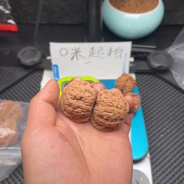 文玩核桃把件王*白狮子