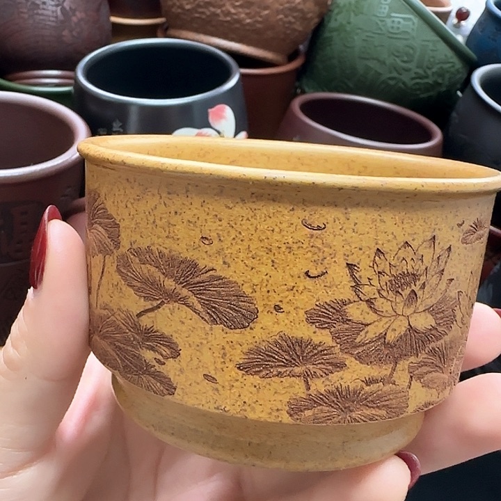 紫砂茶杯紫砂杯放漏福利