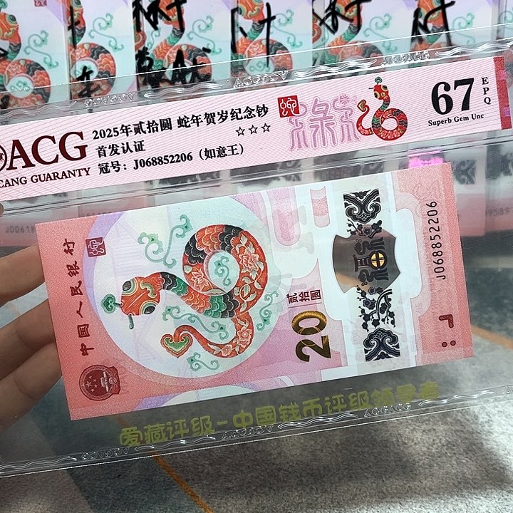 塑料068852206。。。。。。如意王