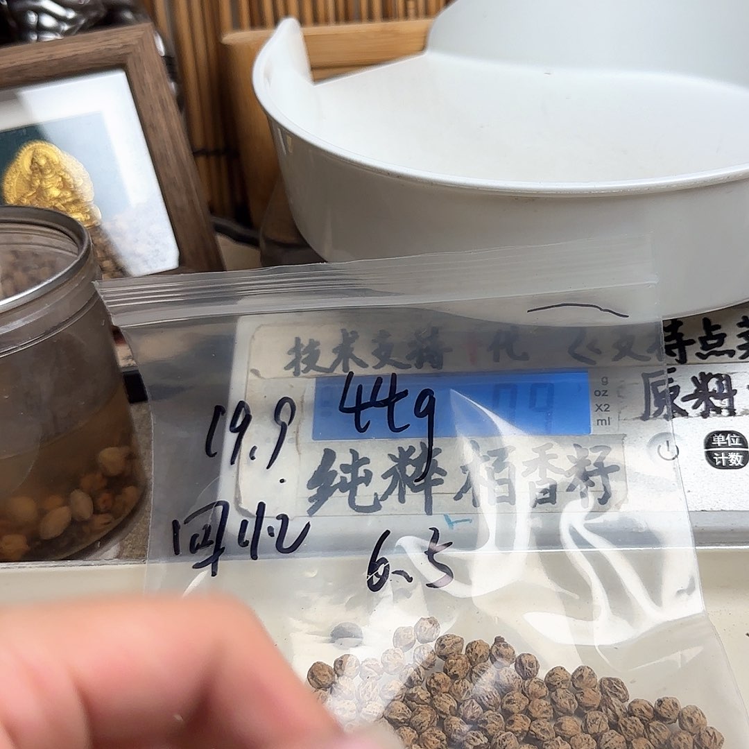 回***忆柏香籽/百香籽吊坠