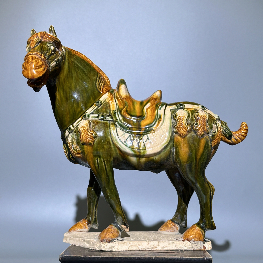 三彩，小俊马！！！！